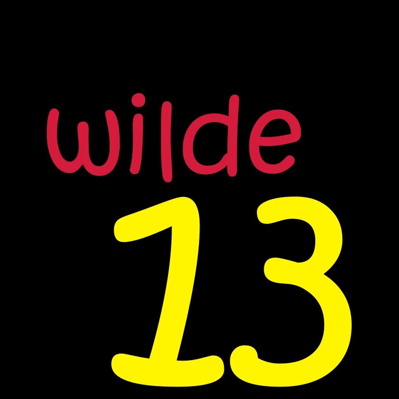 die wilde 13