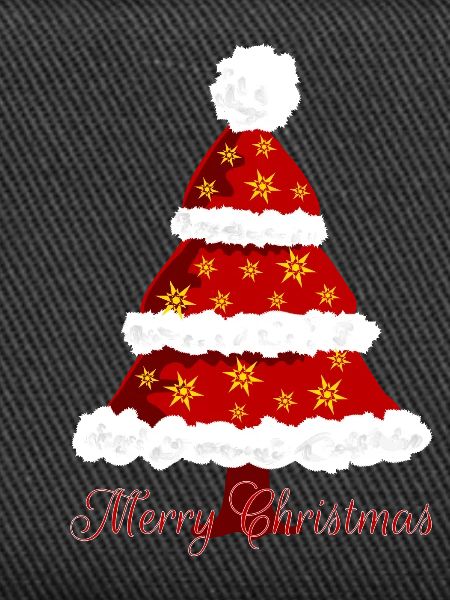 Christmas fir tree