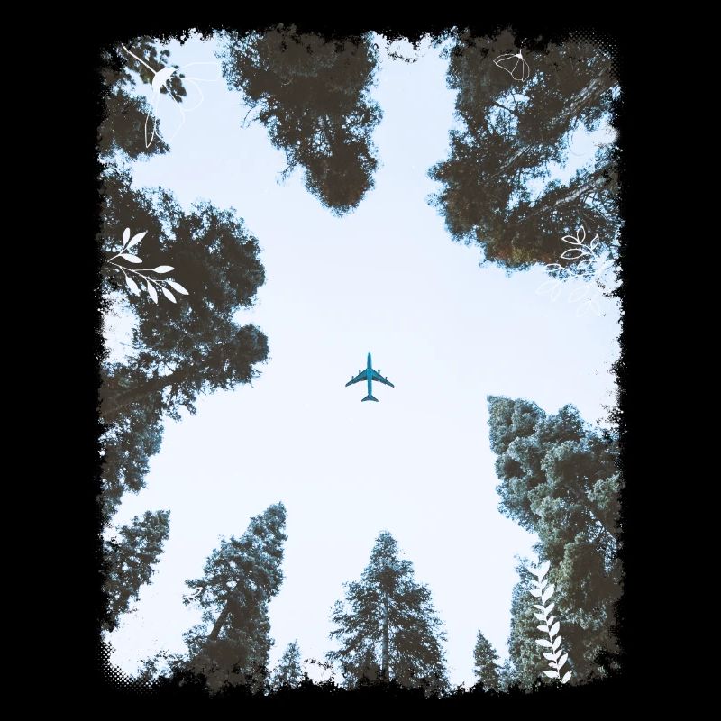 Wald & Flugzeug
