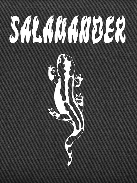 White salamander