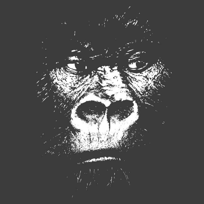 Expressionist Monkey Illustration, Gorilla