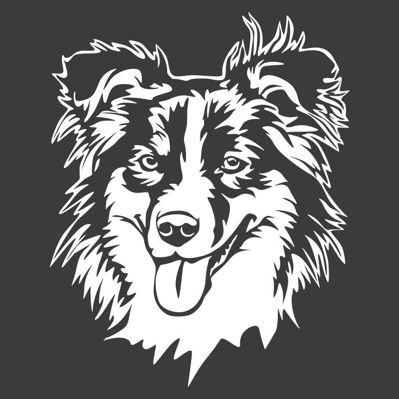 Australian Shepherd Kopf "Black Edition"