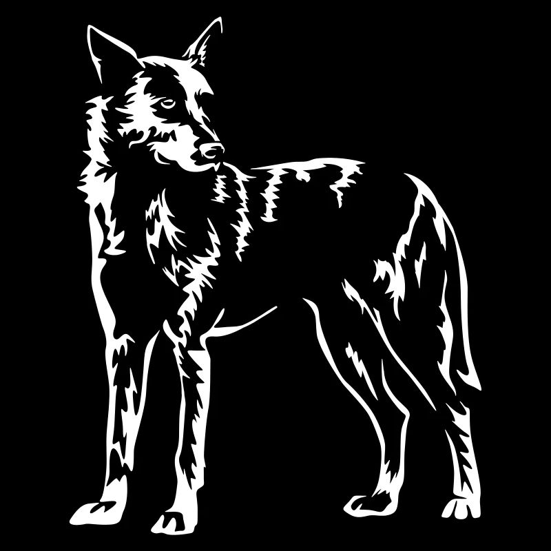 Hollandse Herder "Black Edition"