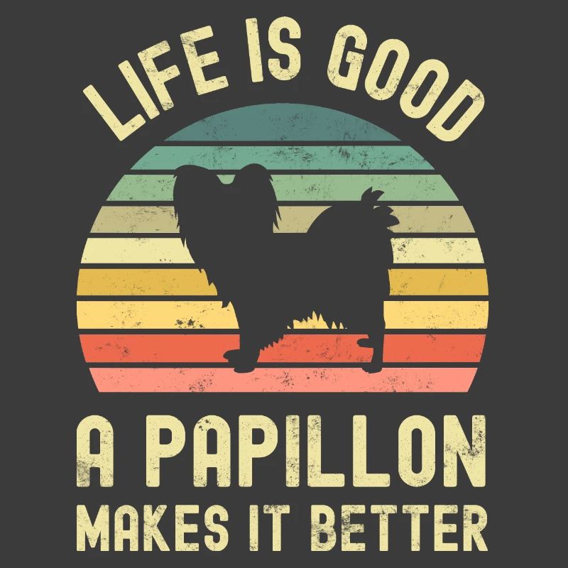 Hund Papillon