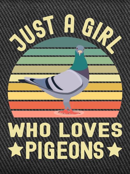 Pigeon Pigeons