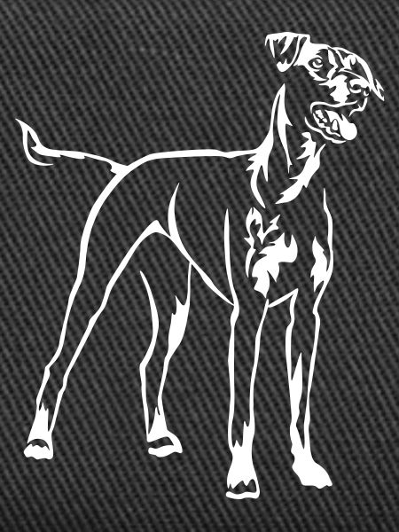 German Pinscher "Black Edition"