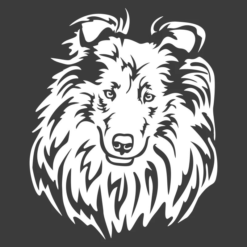 Collie Head "Black Edition"