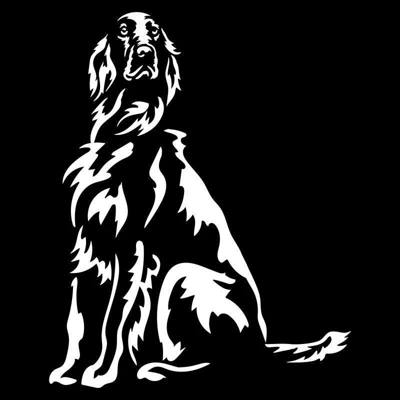 Setter irlandais « Black Edition »