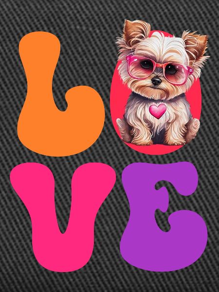 Dog Yorkshire Terrier
