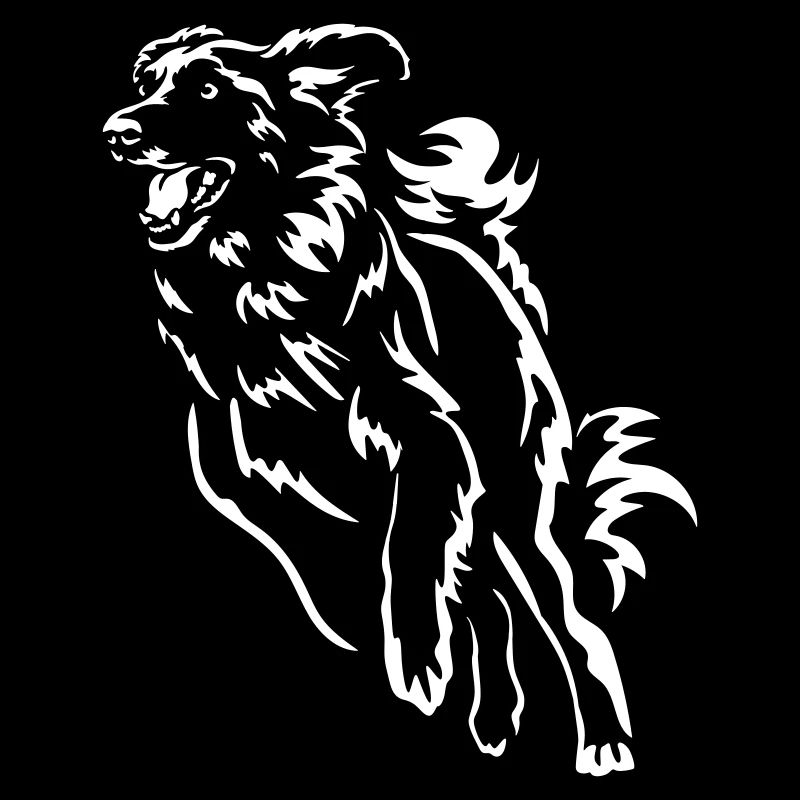 Leonberger "Black Edition"