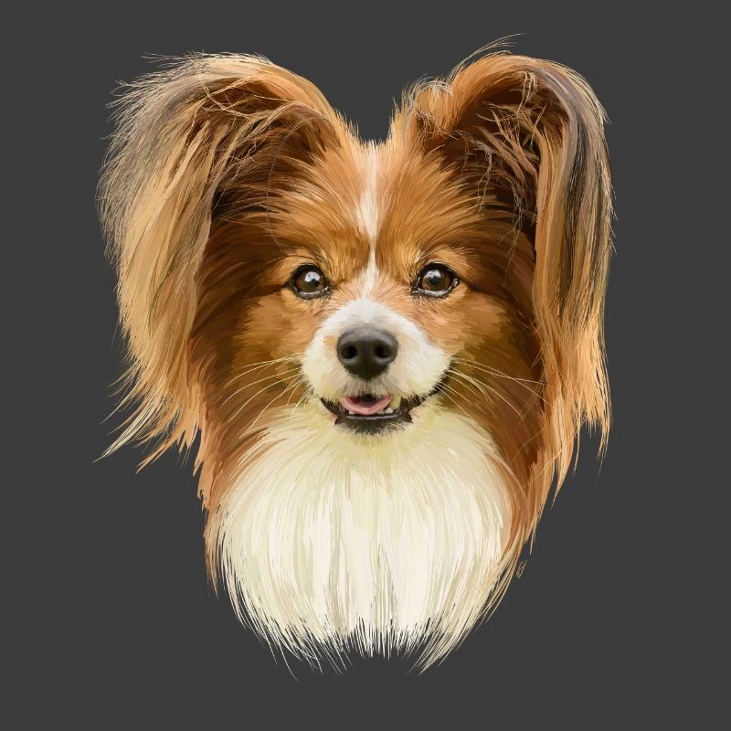 Papillon