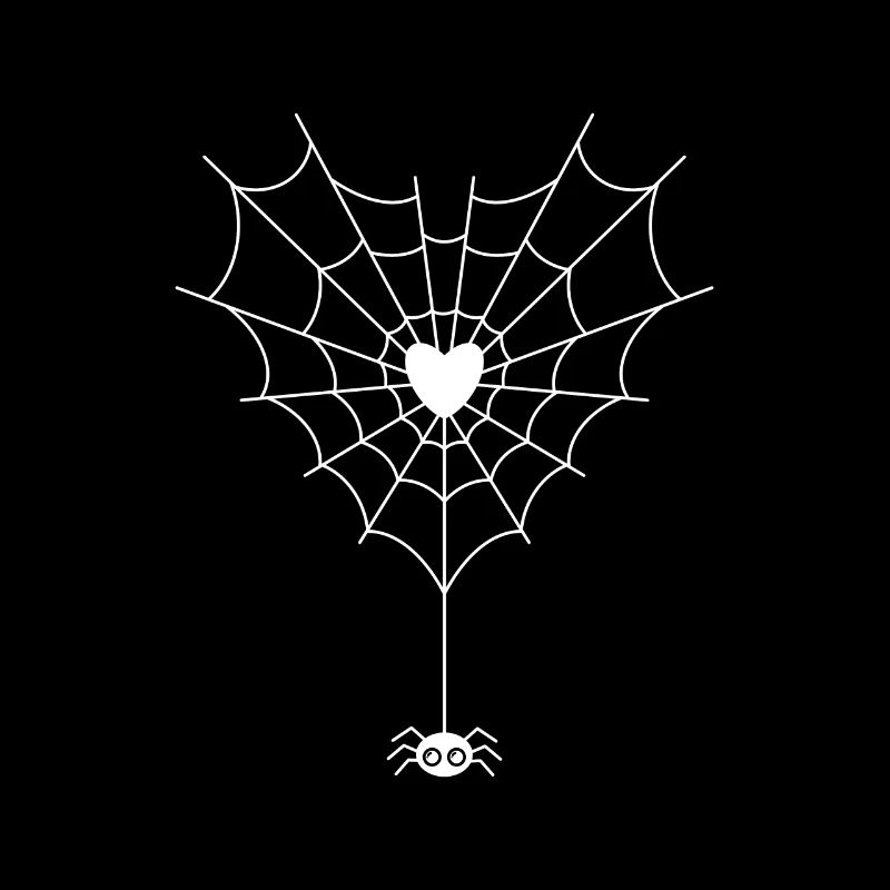 Spider in spider web