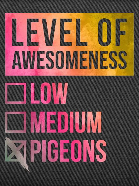 Pigeon Pigeon Pigeon