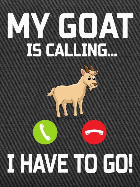 Goat