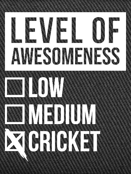 Cricket Cricket Cricket