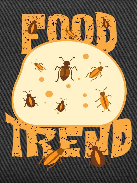 Insect Bread