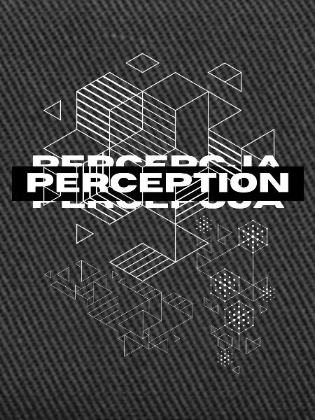 Perception Geometry Mystique