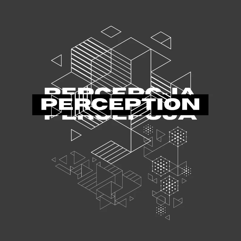 Perception Geometry Mystique