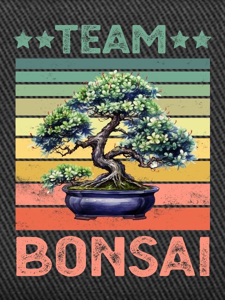 Bonsai Tree