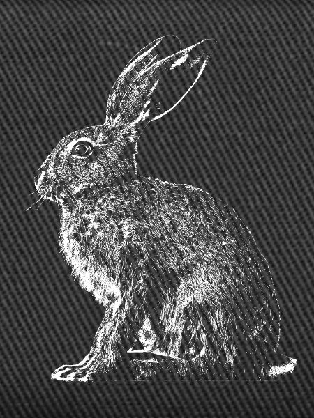 Hare / Hare / Hare / Bunny