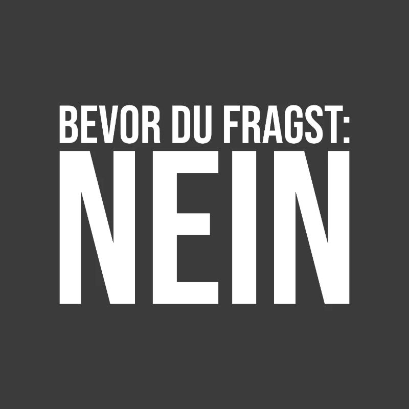 Funny Saying - Before You Ask NO