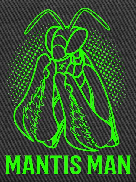Mantis Gottesanbeter Gottesanbeterin