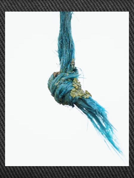 I'm a frayed knot