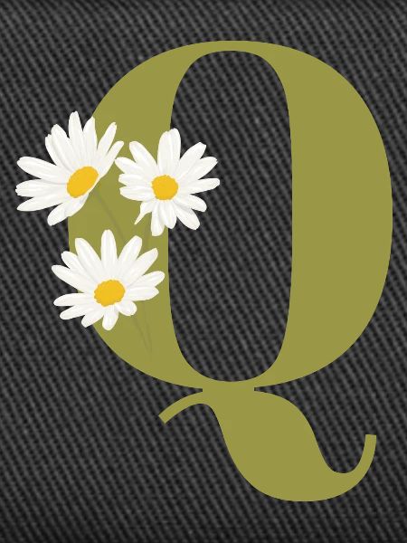 Buchstaben q grüne Gänseblümchen