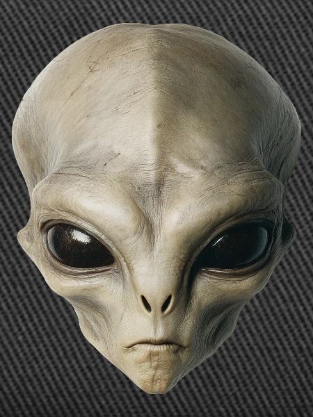 Alien Kopf