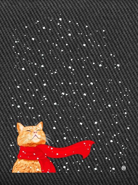 Tabby liebt Schnee