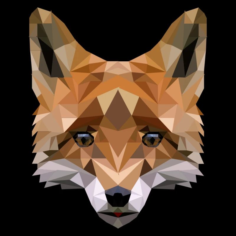 renard polygonal