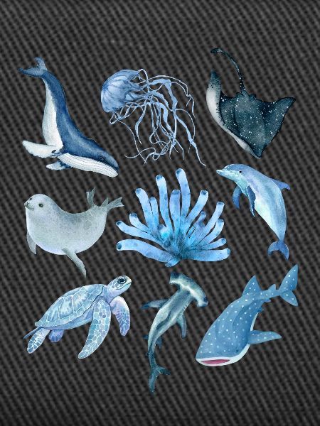 ocean animals