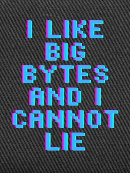 I like big bytes