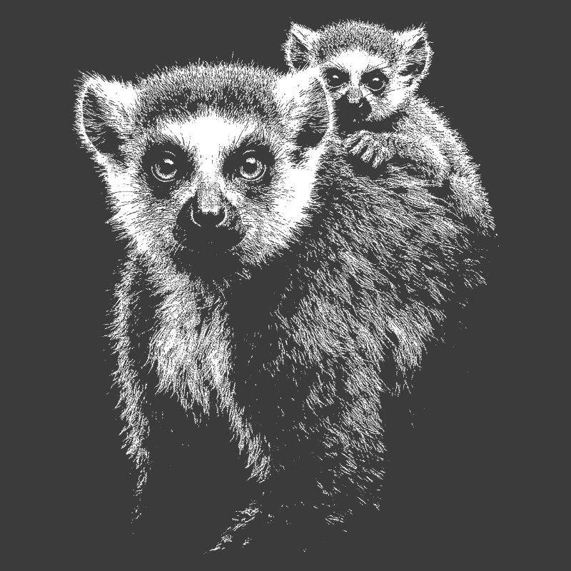 Katta