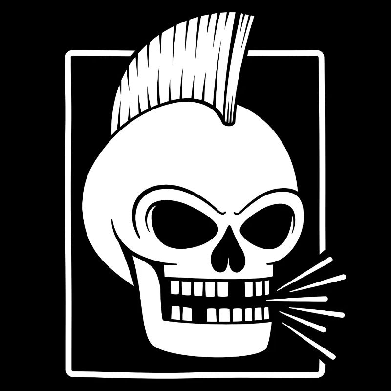 Crâne punk rock avec crête