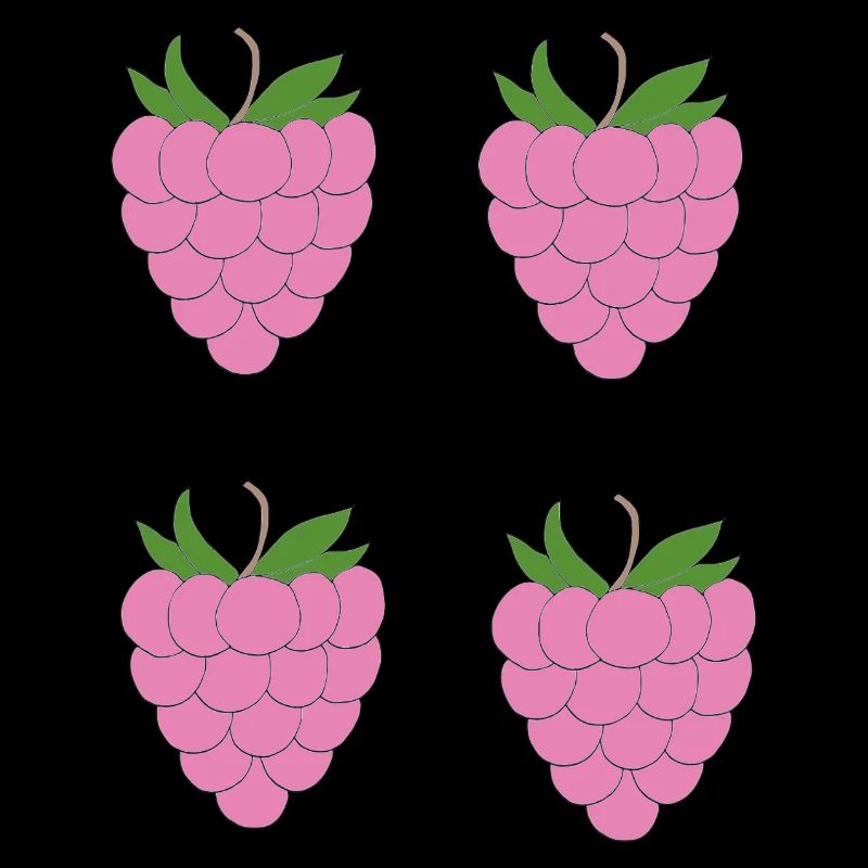 Motif de double grappe de framboise