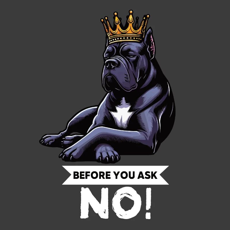 Before You Ask Cane Corso Cane Corsos Corso halter