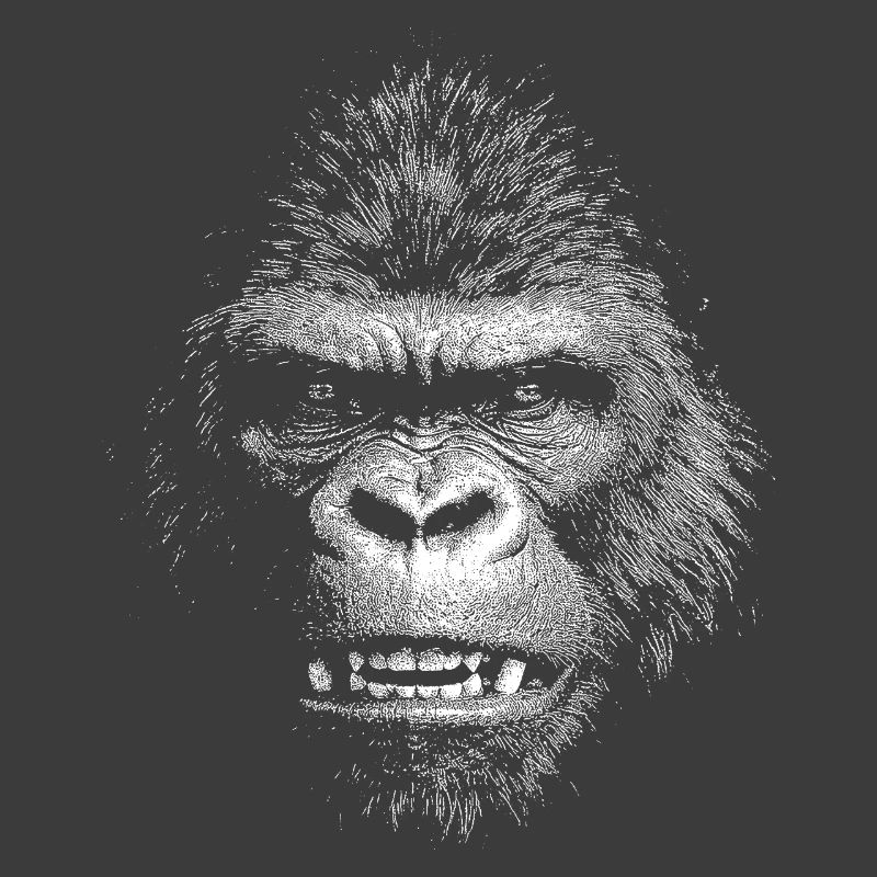 Gorilla