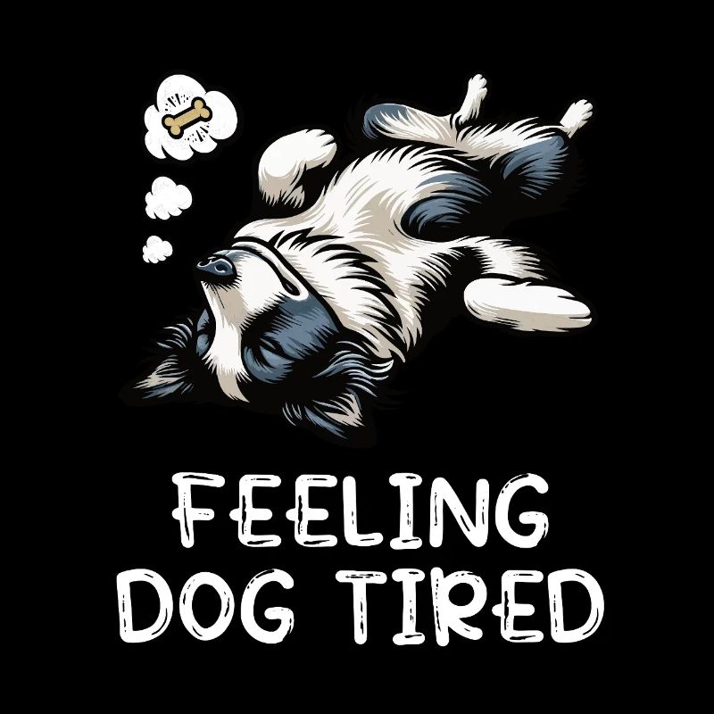 Feeling Dog Tired Border Collie Collie Owner