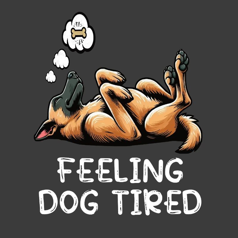 Feeling Dog Tired Malinois Belgian Shepherd