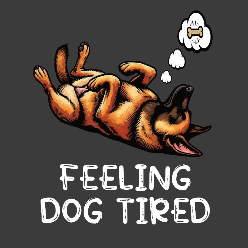 Feeling Dog Tired Malinois Belgian Shepherd