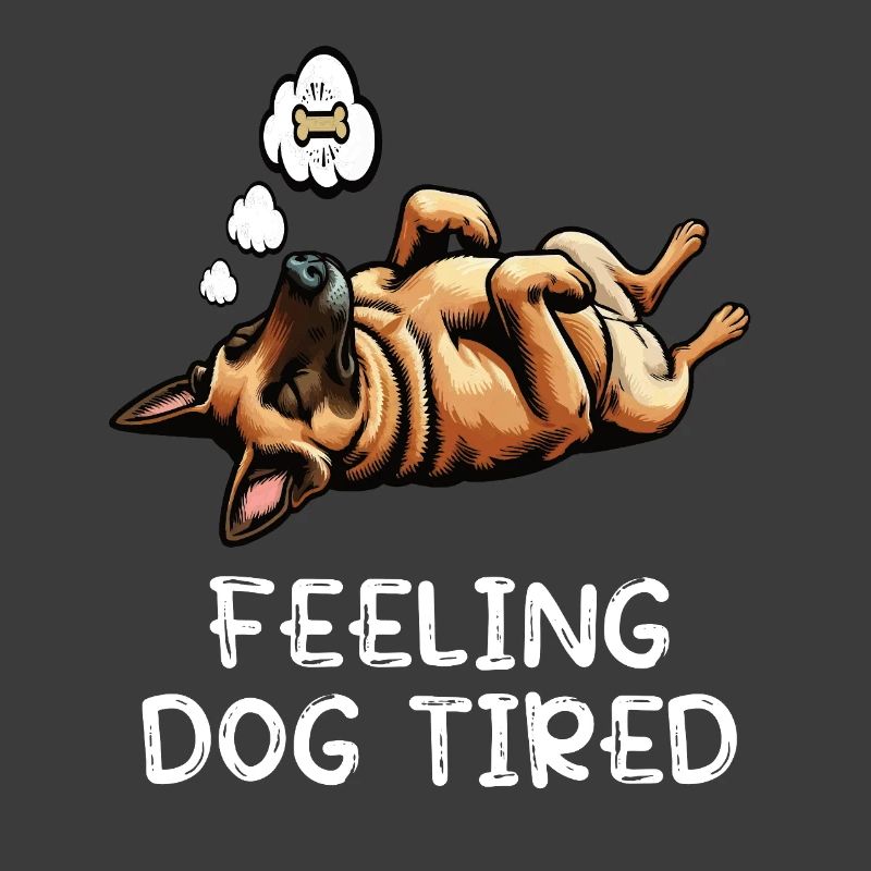 Feeling Dog Tired Malinois Belgian Shepherd