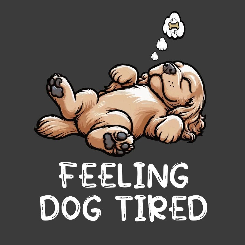 Se sentir fatigué Cocker Spaniel Cockerhund Cocker