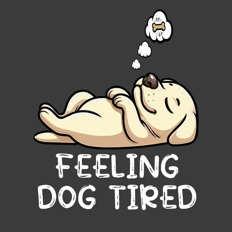 Feeling Dog Tired Labrador Labrador Owner Labbi
