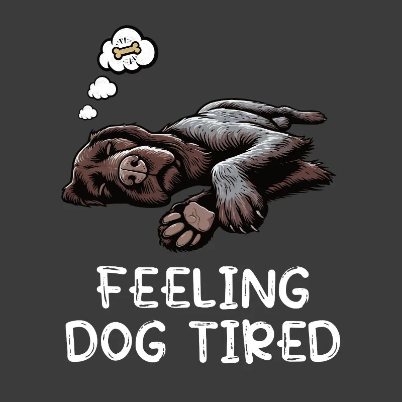 Feeling Dog Tired Deutsch Drahthaar drahthaar hund