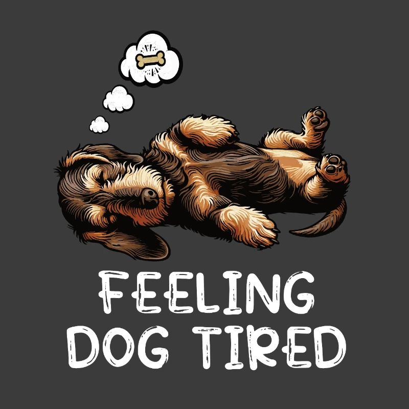 Se sentir fatigué par chien Teckel à poil dur Teckel teckel