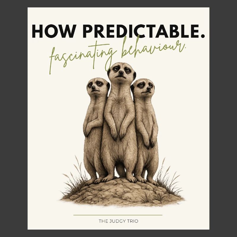 Quel trio de suricates prévisible