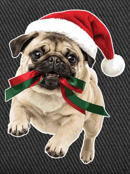 Playful Christmas Pug
