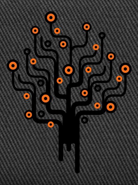 baum2_2f