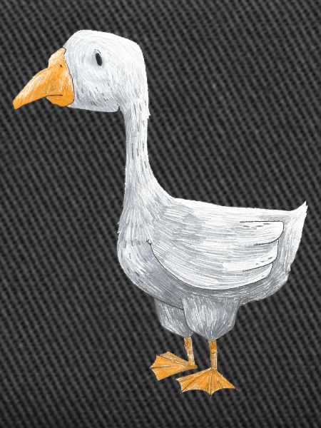 A little goose